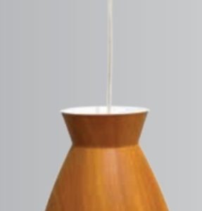 LUMINARIO DE TECHO DECORATIVO CALUX V2054