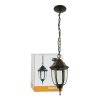 FAROL DE PARED SUSPENDIDO  FTL-6003/N