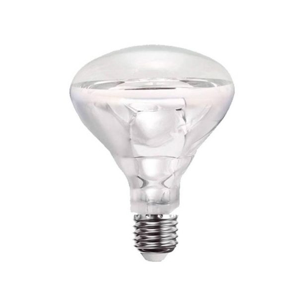 LAMPARA INCANDESCENTE BR40 250W 6014